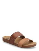 Cushion Vista REEF Brown