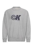 Premium Terry Ck Sport Graphic C Calvin Klein Jeans Grey
