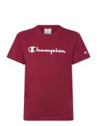 Ss Tee Champion Burgundy