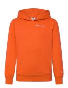 Hooded Sweatshirt Champion Orange