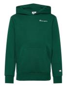 Hooded Sweatshirt Champion Green