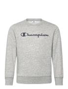 Crewneck Sweatshirt Champion Grey