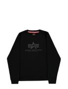 Basic Sweater Carbon Alpha Industries Black