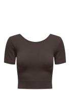 Onpjaia Life Ss 2-Way Crop Seam Top Noos Only Play Brown