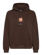 Standard Hoodie Quiksilver Brown