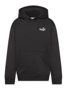 Ess Small No. 1 Logo Relaxed Hoodie Fl B PUMA Black