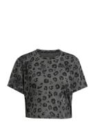 We T-Shirt Aop Adidas Performance Grey