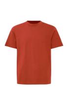 Bhivo Tee Blend Orange