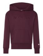 Hooded Sweatshirt Champion Burgundy