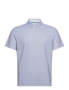 Dimensional Pete Tee Twill Print Polo Original Penguin Golf Blue