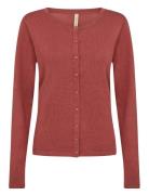 Sc-Dollie Soyaconcept 