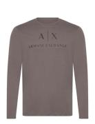T-Shirt Armani Exchange Brown