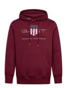 Reg Archive Shield Hoodie GANT Purple