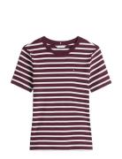 Slim Cody C-Nk Ss Tommy Hilfiger Burgundy