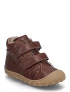 Bisgaard Hale V Lamb Bisgaard Brown