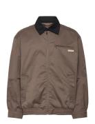 A- Ls Cotton Fz Blouson Jacket Calvin Klein Jeans Brown