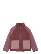 Jacket Teddy En Fant Burgundy
