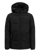Jjeowen Puffer Sn Jnr Jack & J S Black