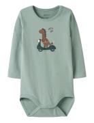 Nbmnuts Ls Body Box Name It Green