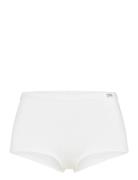Women's Bamboo Legend Boxer Frank Dandy White
