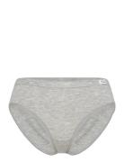 Women's Bamboo Legend Hip Frank Dandy Grey