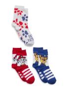 Socks Paw Patrol Patterned