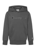 Hooded Sweatshirt Champion Grey