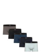 Trunk 5P Essential BOSS Patterned