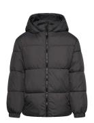 Hood Puffer Coat Mango Black