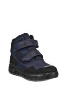 Urban Snowboarder ECCO Navy