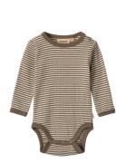 Wool Body L/S Lucca Wheat Beige