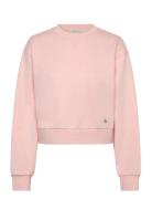 A - Cropped Badge Logo Sweatshir Calvin Klein Jeans Cream