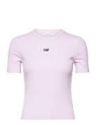 A- Modal Rib Tee Calvin Klein Jeans Pink