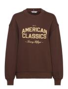 Varsity Mdrn Terry Swtshrt Tommy Hilfiger Brown