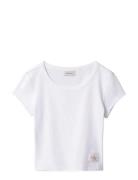 A- Woven Label 2X2 Rib Baby Tee Calvin Klein Jeans White