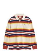 Striped Heavy Rugger GANT Patterned