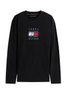 Linear Flag Graphic Ls Tee Tommy Hilfiger Black
