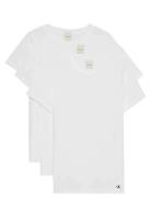 Cotton Tee 3Pk Calvin Klein White