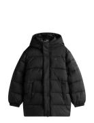 Essential Padded Parka Tommy Hilfiger Black