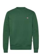 Oakport Sweatshirt Dickies Green