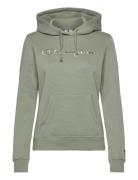 Hooded Sweatshirt Champion Green