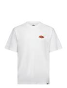 M Graysville Tee Ss Dickies White