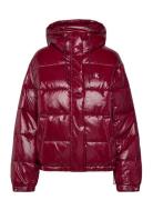 Shine Puffer Jacket Calvin Klein Jeans Burgundy
