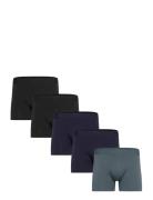 Claudio 5-Pack Tights Claudio Blue