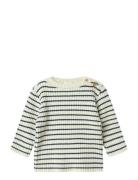 Nbmostripe Ls Knit Name It Cream