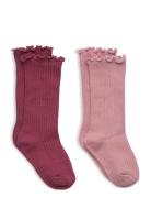 2 Pack Ribbed Socks Mango Burgundy