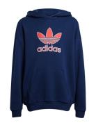 Hoodie Adidas Originals Navy