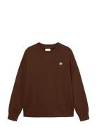 Wwtye WOOD WOOD Brown