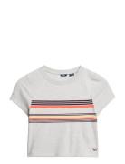 Vintage Stripe Crop Tee Superdry Grey