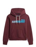 Faded Core Hood Superdry Burgundy